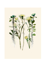 TIMCo Briana Corr Scott - Card / Thorny Rose & Carnation, 4 x 6"
