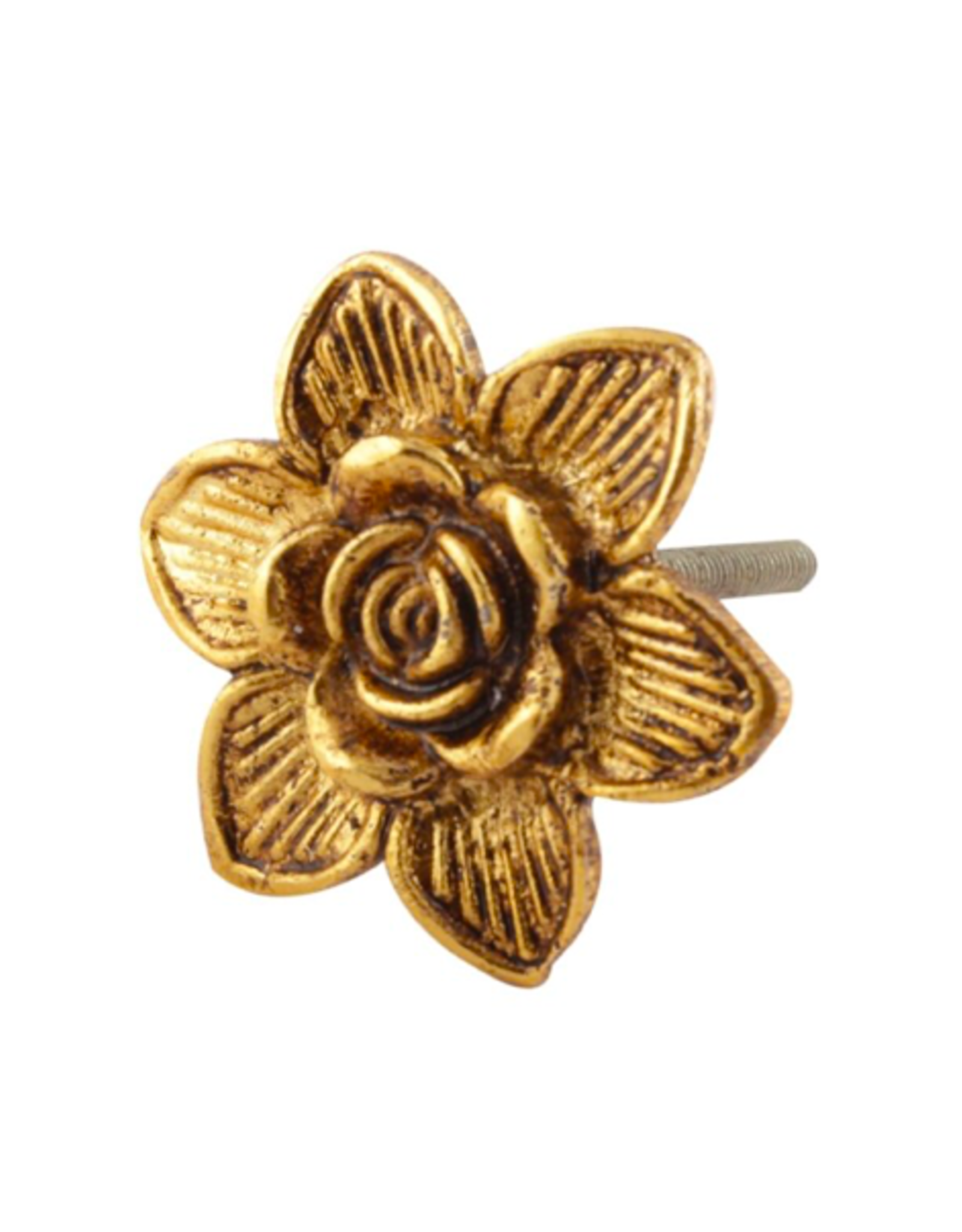 NTH - Knob / Gilded Rose, Gold