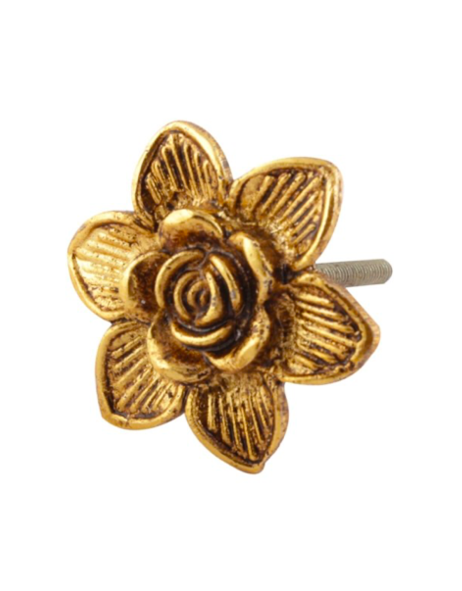 TIMCo NTH - Knob / Gilded Rose, Gold