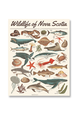 TIMCo Midnight Oil - Print / Wildlife of NS: Ocean Life, 16 x 20"