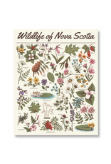 Midnight Oil - Print / Wildlife of Nova Scotia: Flora, 16 x 20"