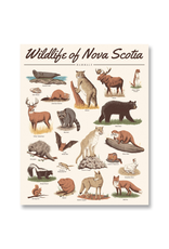 Midnight Oil - Print / Wildlife of NS: Mammals, 16 x 20"