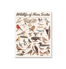 The Independent Mercantile Co. Midnight Oil - Print / Wildlife of NS: Birds, 16 x 20"