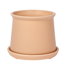 DCA - Planter & Saucer  / Guava, 4"