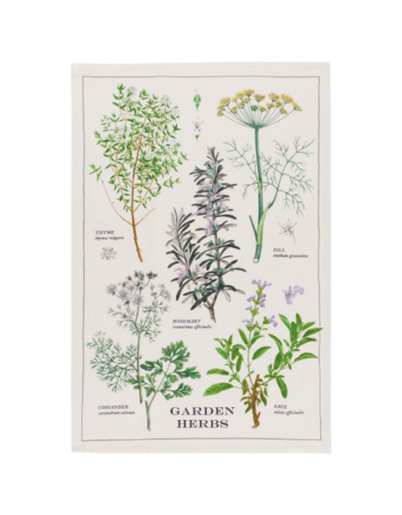 Tea Towel - Garden Herbs