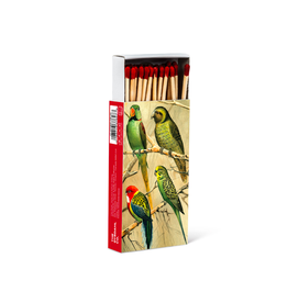 ATT - Boxed Matches / Parrots, 4"