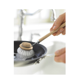 TIMCo PLE - Dish Brush / Replacement Head, 2.75"
