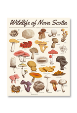 Midnight Oil - Print / Wildlife of Nova Scotia: Fungi, 16 x 20"