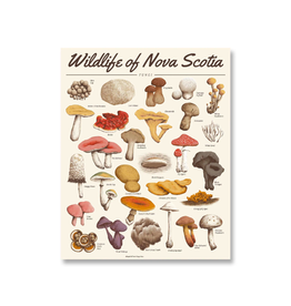 The Independent Mercantile Co. Midnight Oil - Print / Wildlife of NS: Fungi, 16 x 20"