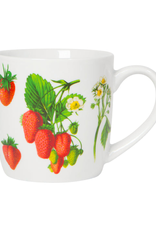 TIMCo DCA - Mug / Strawberries, 12oz