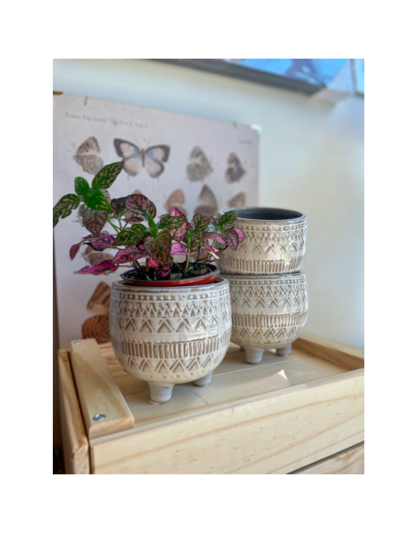 NIA - Footed Planter / Cozy, 3.5"