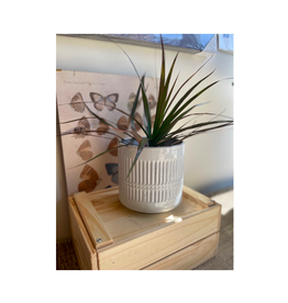 CTG - Planter / Modern, Grey, 6"