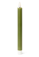 ATT - LED Taper Candle / Set of 2, Ivy, 9.5"