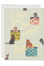 RAP - Card / I Hope Your Birthday is Nothing But Kittens, 4.25 x 5.5"