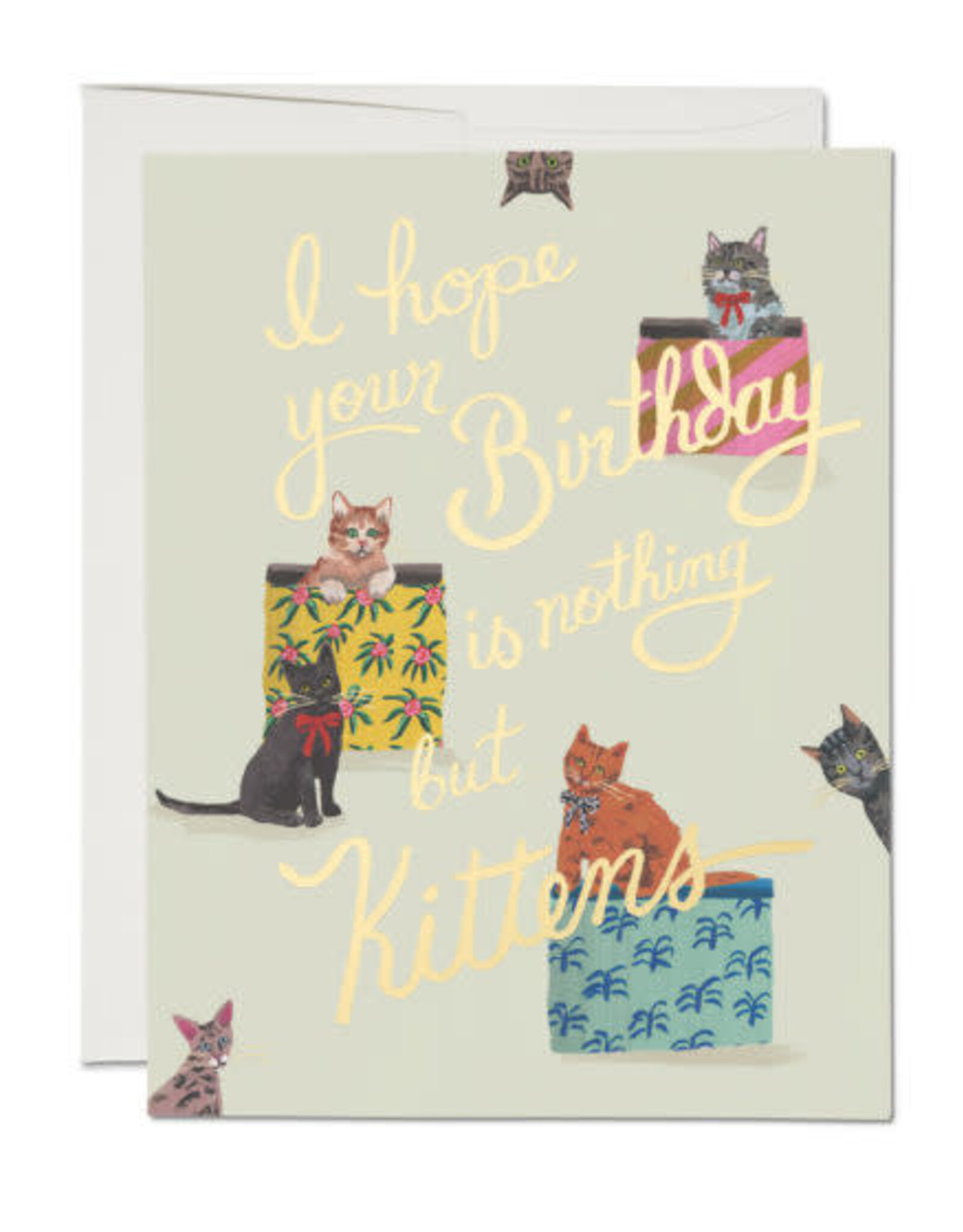 RAP - Card / I Hope Your Birthday is Nothing But Kittens, 4.25 x 5.5"