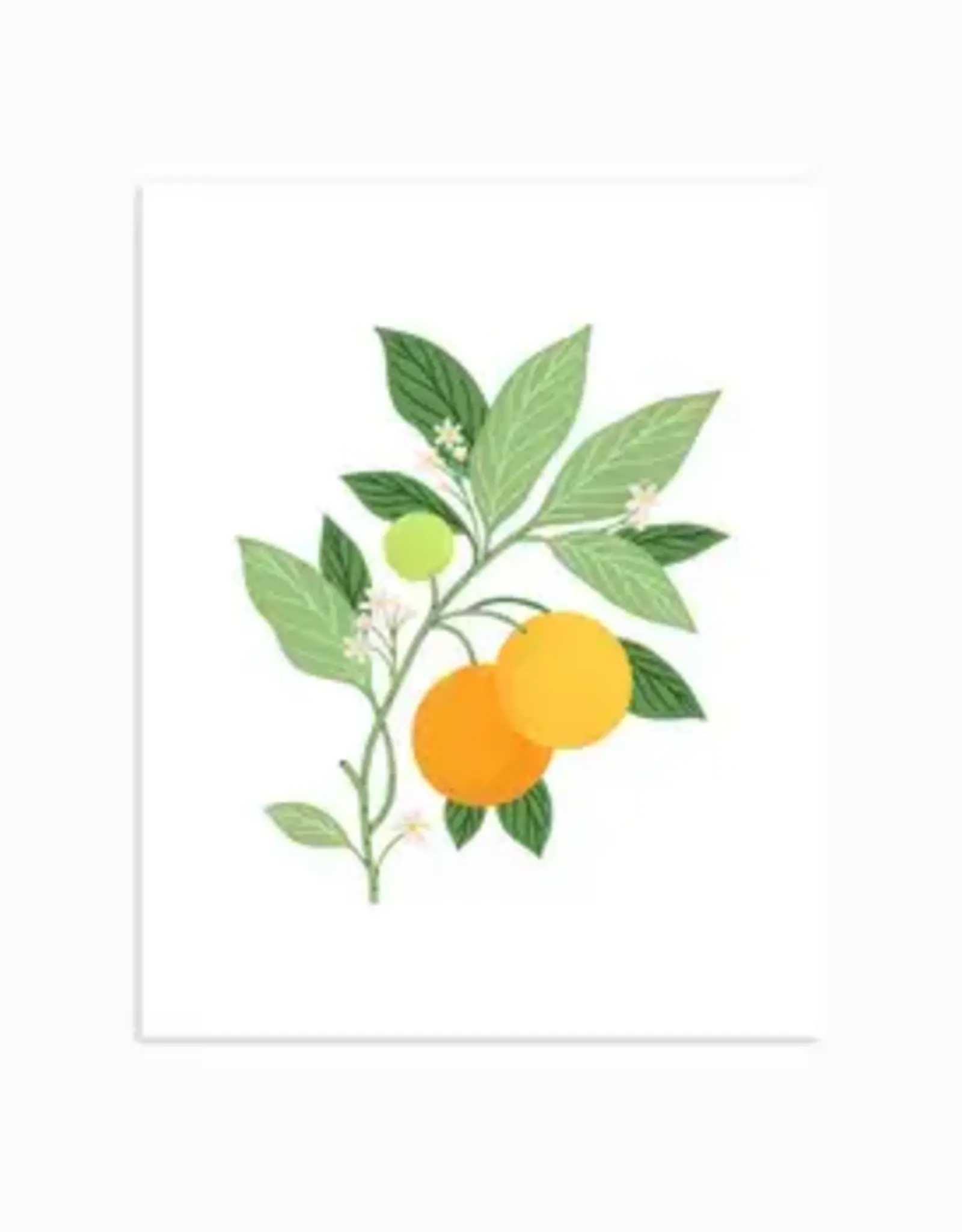 LER - Art Print / Oranges, 8 x 10"