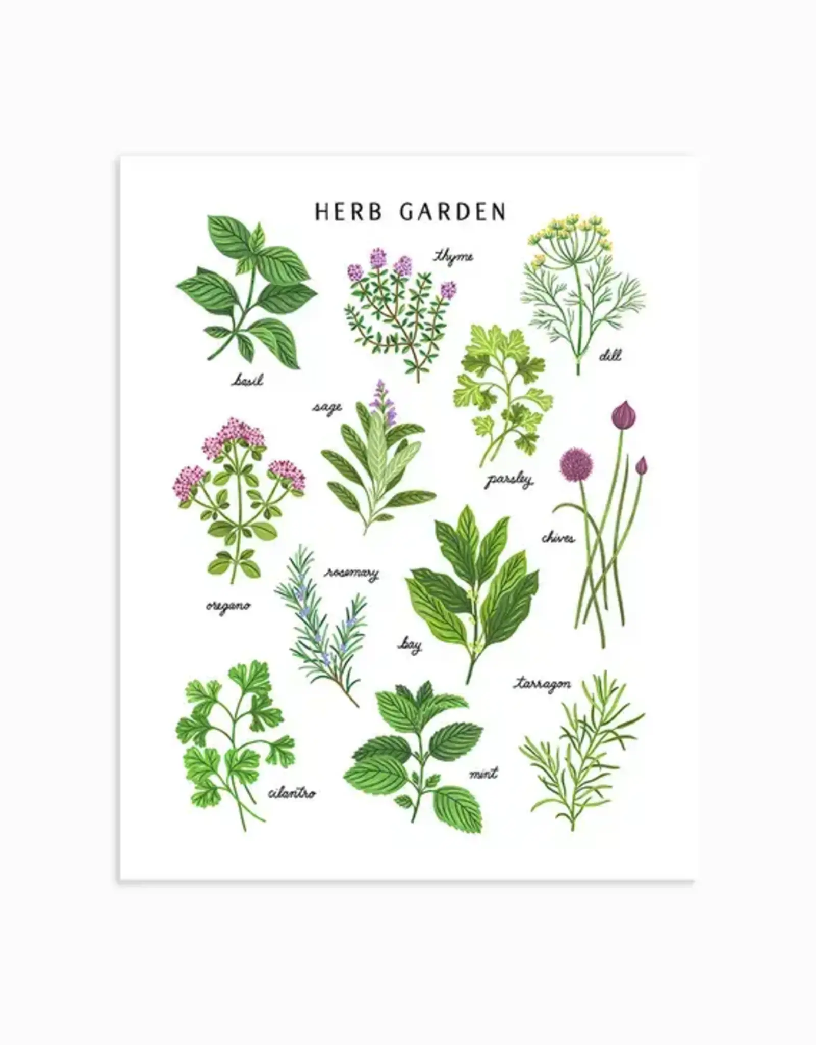 LER - Art Print / Herb Garden, 8 x 10"