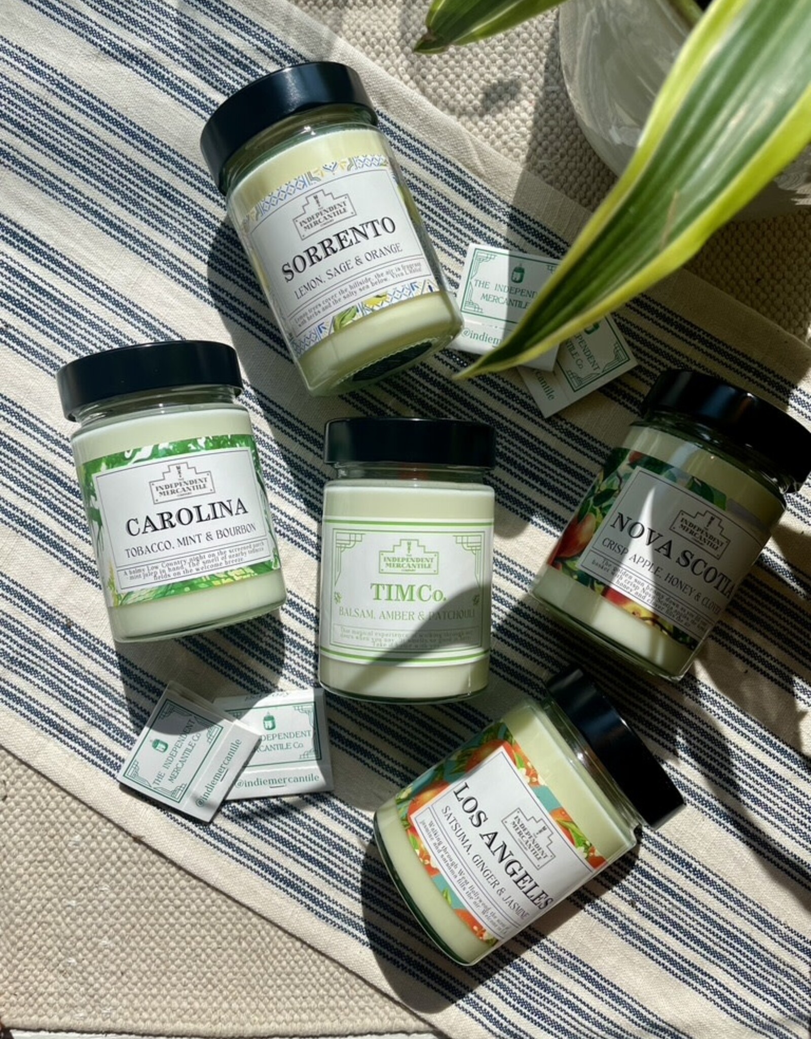 Candle - TIMCo, The Independent Mercantile