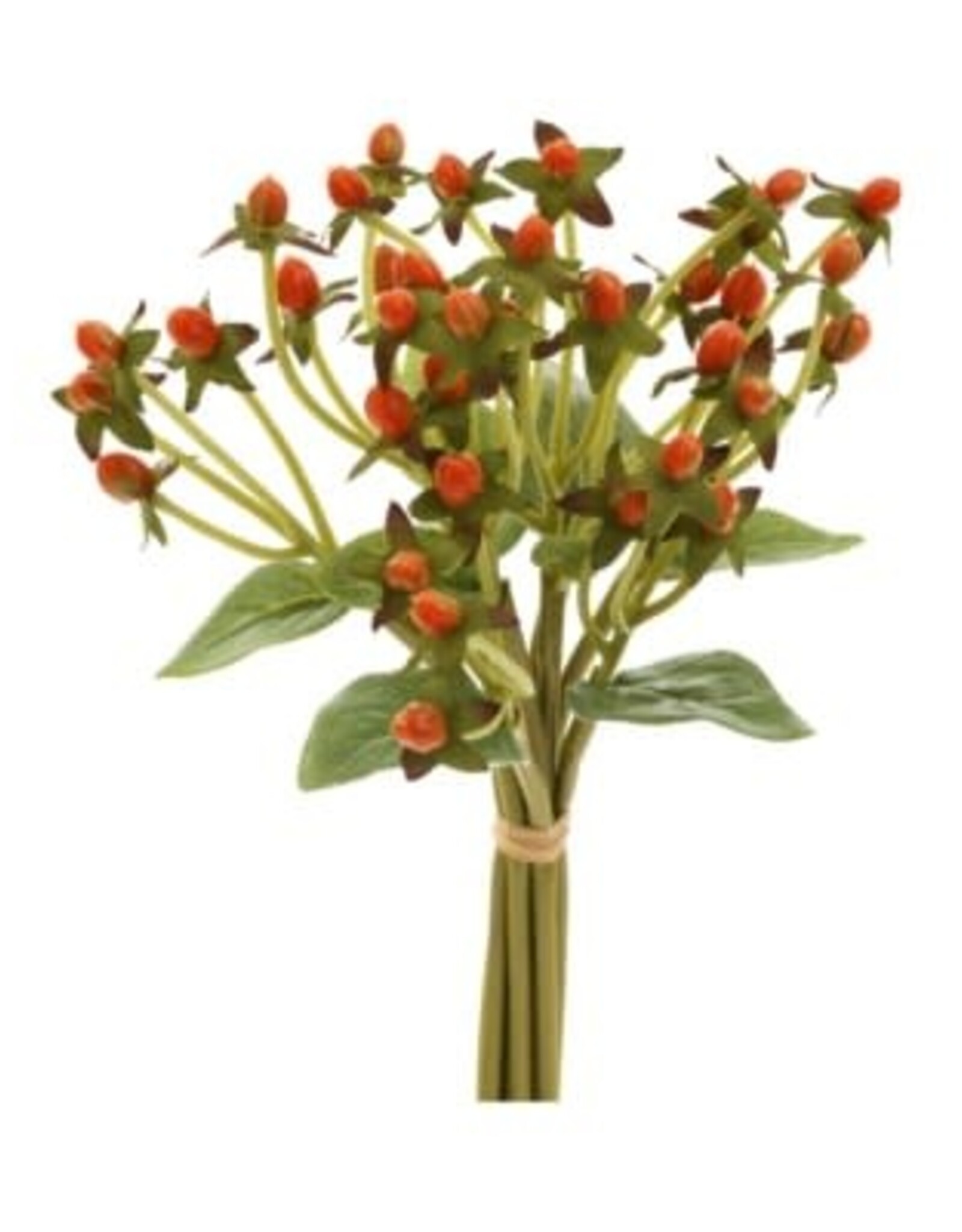 Bouquet - Hypericum Orange