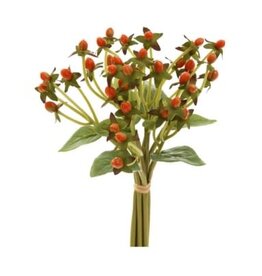 Bouquet - Hypericum Orange