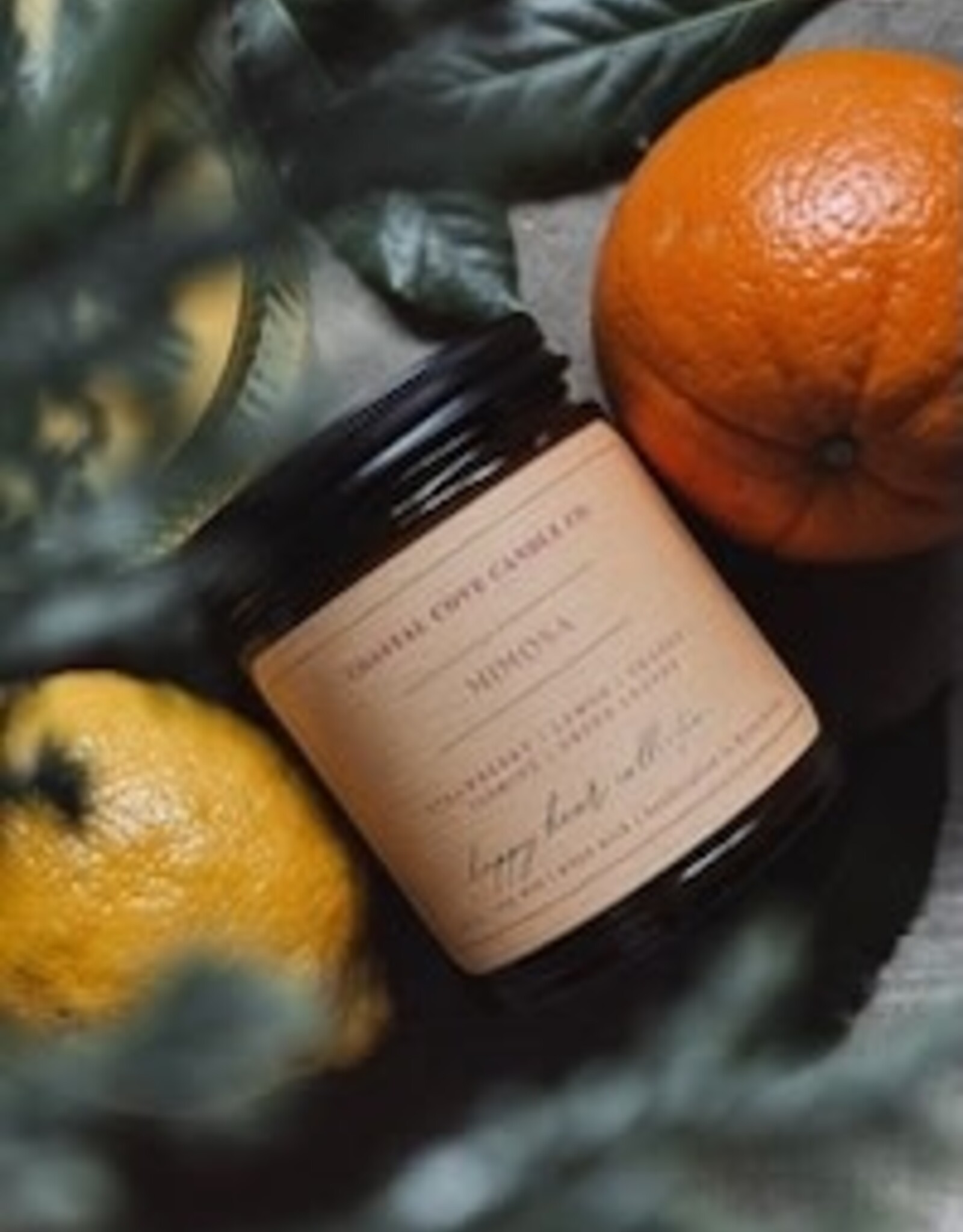 Candle - Coastal Cove, Mimosa