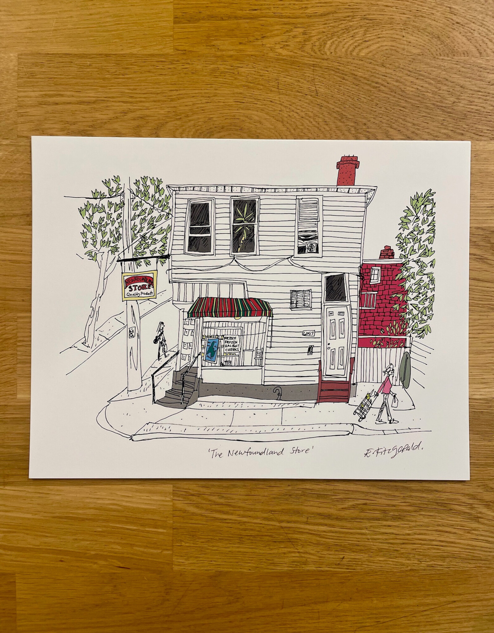 Emma Fitzgerald - Art Print, Newfoundland Store, 8.5 x 11"Emma Fitzgerald - Print / Newfoundland Store, 8.5 x 11"