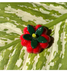 Magnet - Tomato
