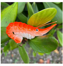 Magnet - Shrimp
