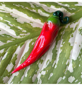 Magnet - Red Chili Pepper