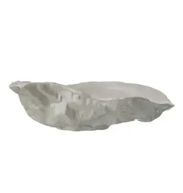 Dish - Oyster