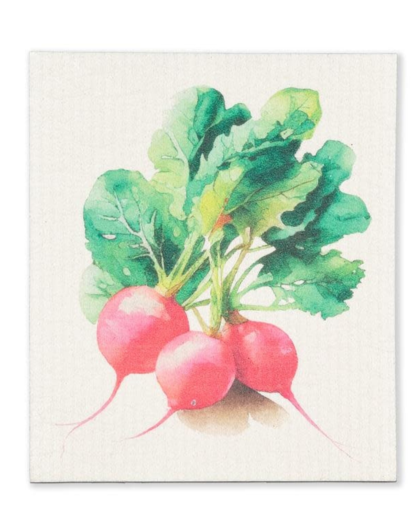ss26 Swedish Sponge Cloth - Radish