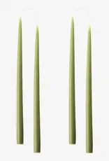 Taper Candle - Moss, 10"