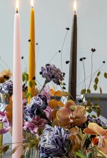 Taper Candle - Petal , 10"