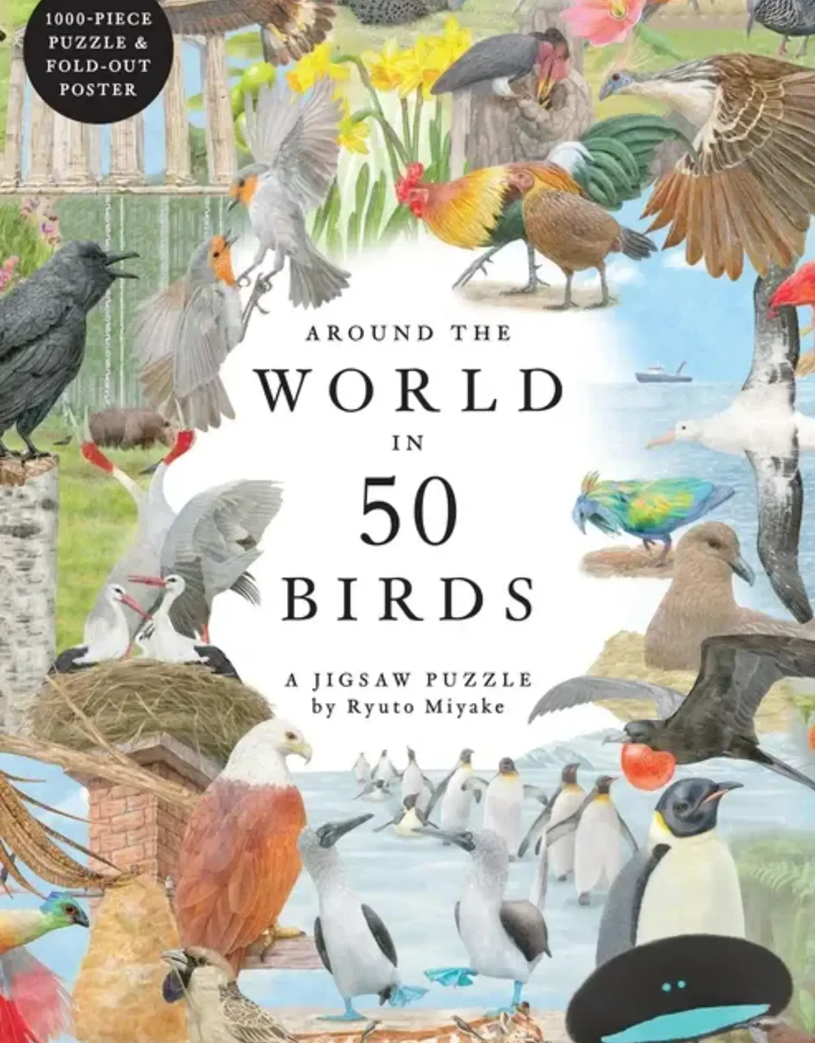 Puzzle - Around the World in 50 Birds, 1000 Pieces