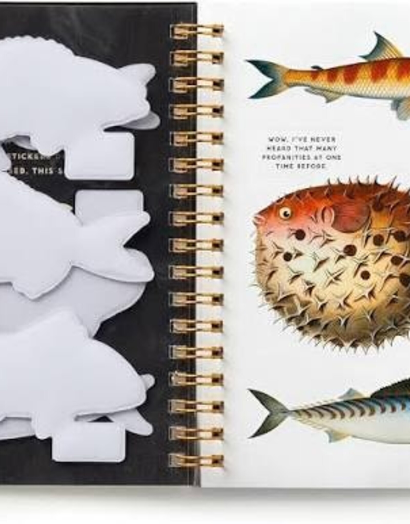 Sticker Book - Judgy Fish