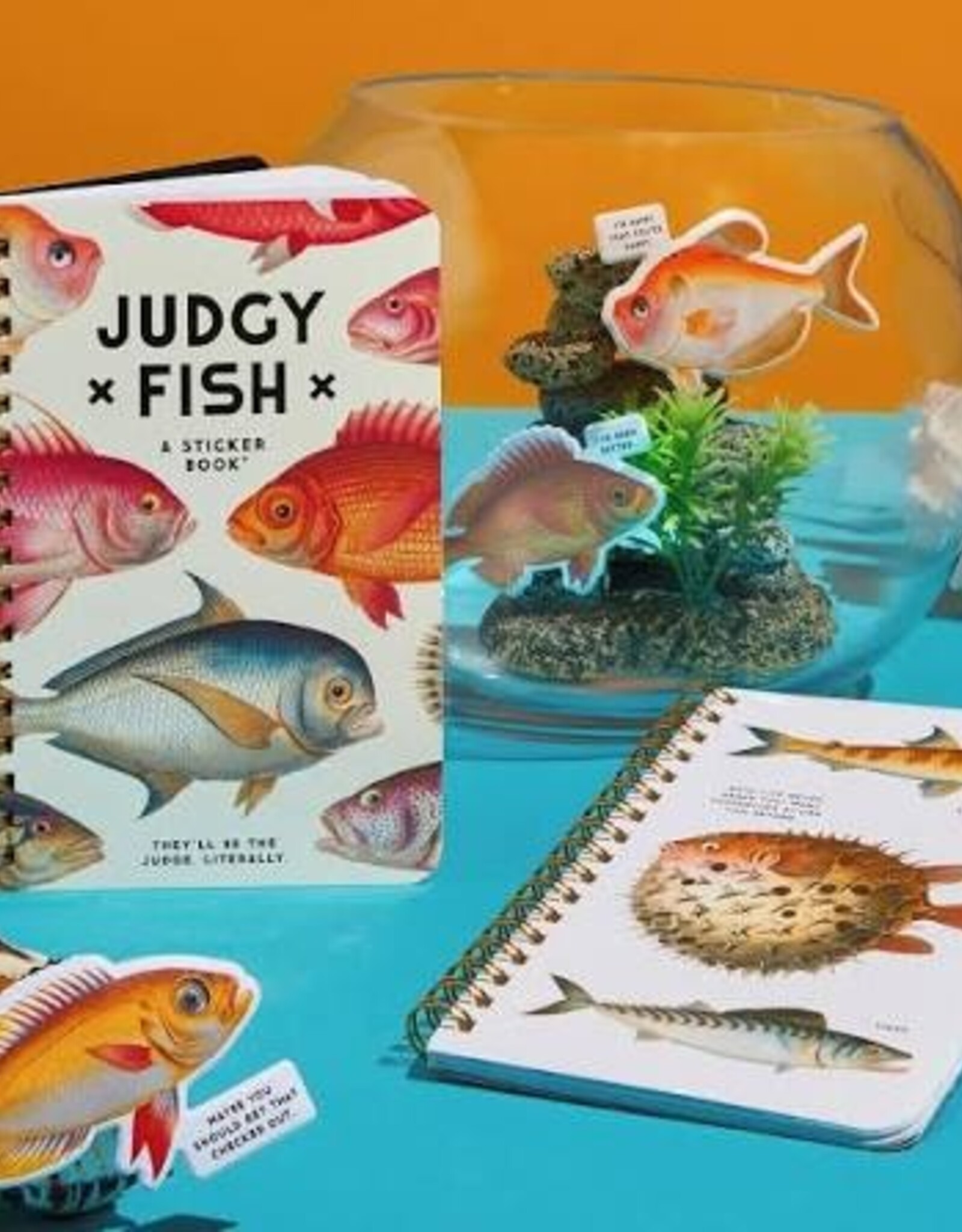 Sticker Book - Judgy Fish