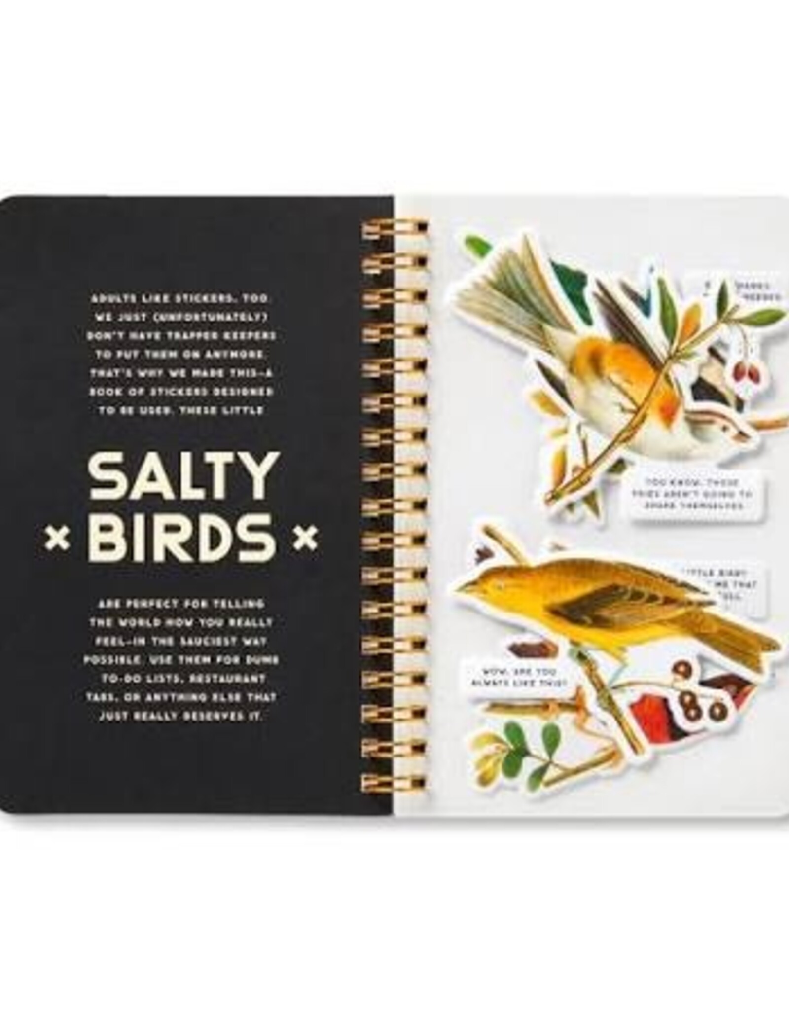 Sticker Book - Salty Birds