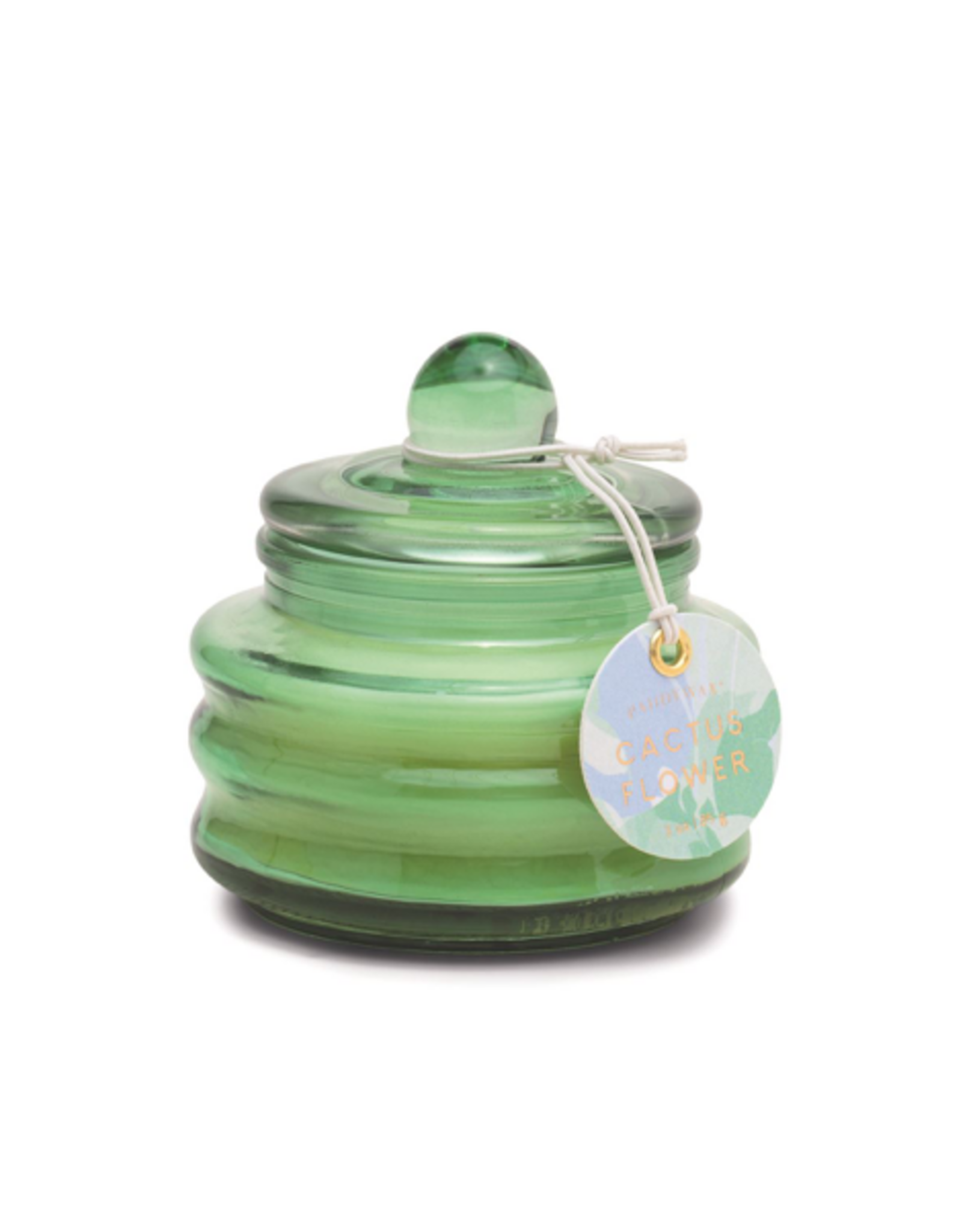 Candle - Bubble Glass, Cactus Flower