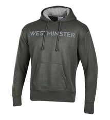 Champion Sweatshirt: Champion Men's Gray Fleece Hoody