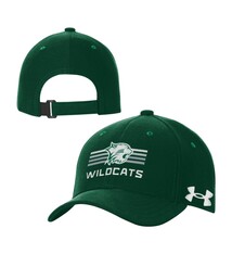 Under Armour Hat: UA Youth Blitzing 3.0