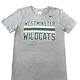 Nike T: Nike Core SS Westminster Wildcats Stripes