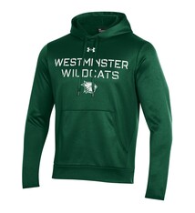 Under Armour Hoodie: UA Mens PO - Forest Green