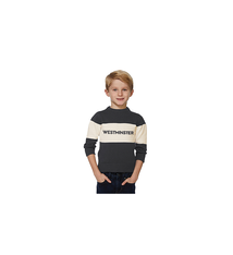 Sweater: Bruzer Bar Down, Gray and White