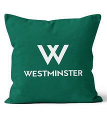 Pillow: Westminster Velvet 18"x18"