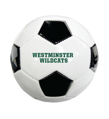 Soccer Ball: Mini Leather Soccer Ball