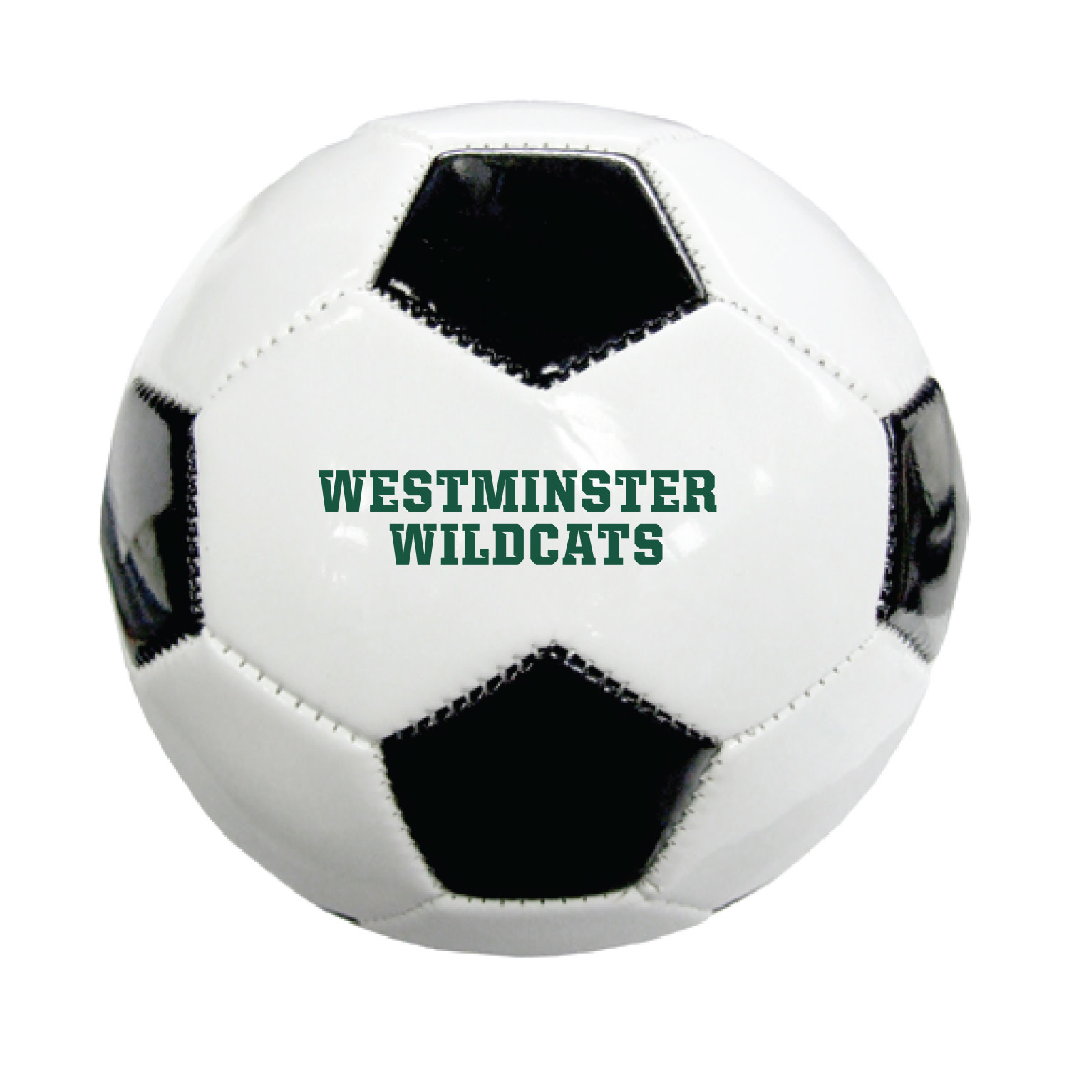 Soccer Ball: Mini Leather Soccer Ball