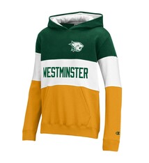 Champion Hoodie: Champion Youth MTO Super Fan Color Block