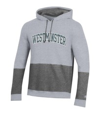 Champion Hoodie: Champion Super Fan 23 Big Stripe Hood