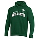 Champion Hoodie: Champion MTO Stadium Collection Green