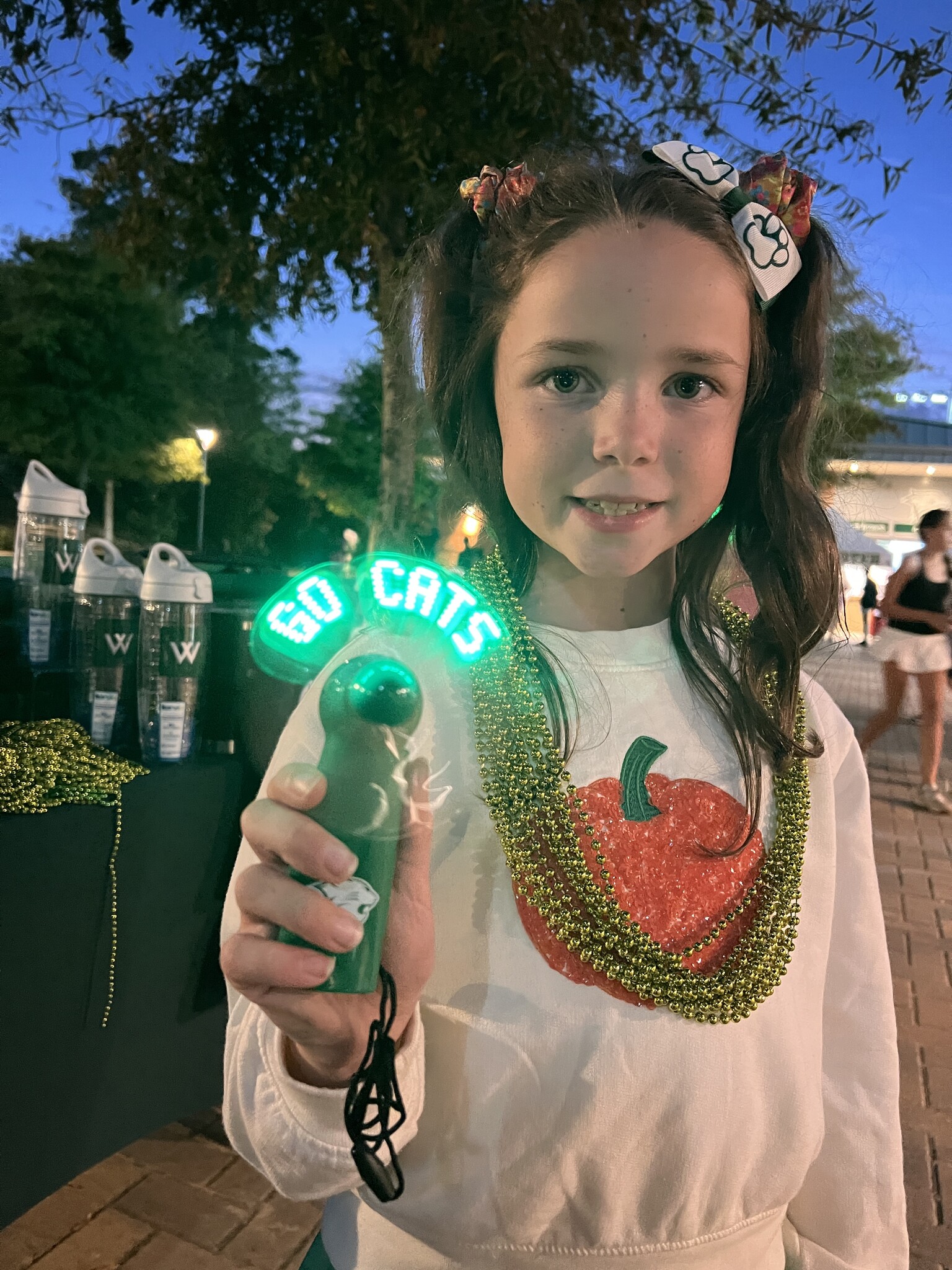 LED Hand Fan, Go Cats!